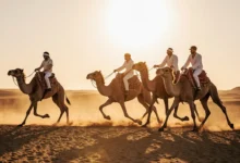 سباق الهجن في الإمارات - تراث عريق ومتعة المنافسة 4 سباق الهجن في الإمارات – تراث عريق ومتعة المنافسة