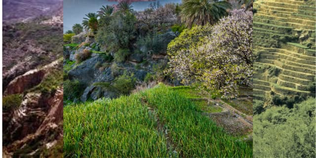 مزايا السياحة في الجبل الأخضر في سلطنة عُمان: جنة فوق السحاب 1 مزايا السياحة في الجبل الأخضر في سلطنة عُمان: جنة فوق السحاب