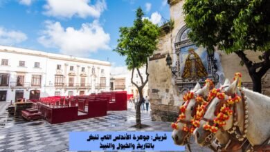 شريش-جوهرة-الأندلس-التي-تنبض-بالتاريخ-والخيول-والنبيذ-390x220 الجنسيات التي لها حق اللجوء إلى كندا: ماذا عن المواطن السوري؟