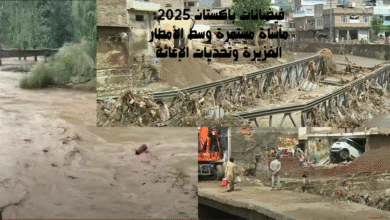 فيضانات-باكستان-2025-مأساة-مستمرة-وسط-الأمطار-الغزيرة-وتحديات-الإغاثة-390x220 فوضى حرائق الغابات تضرب جنوب إسبانيا: طريفة تحت الحصار