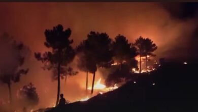 20250806_220558_٠٠٠٠-390x220 وفاة تريستان روجرز: إرث فني وصوت لا ينسى