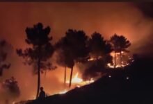 فوضى حرائق الغابات تضرب جنوب إسبانيا: طريفة تحت الحصار