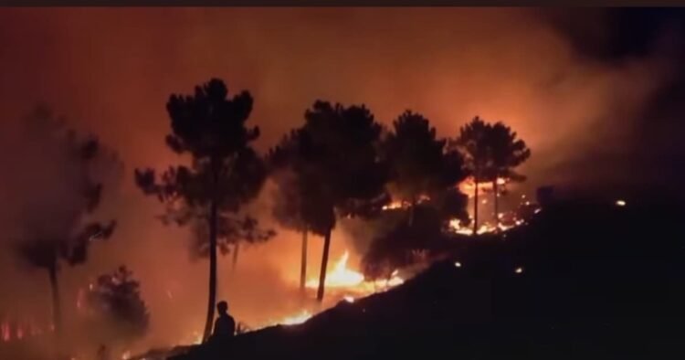 فوضى حرائق الغابات تضرب جنوب إسبانيا: طريفة تحت الحصار