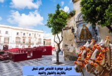 شريش: جوهرة الأندلس التي تنبض بالتاريخ والخيول والنبيذ