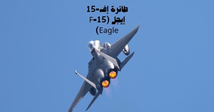 طائرة إف-15 إيجل (F-15 Eagle)