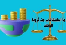 ما استحقاقي من ثروة الوطن؟