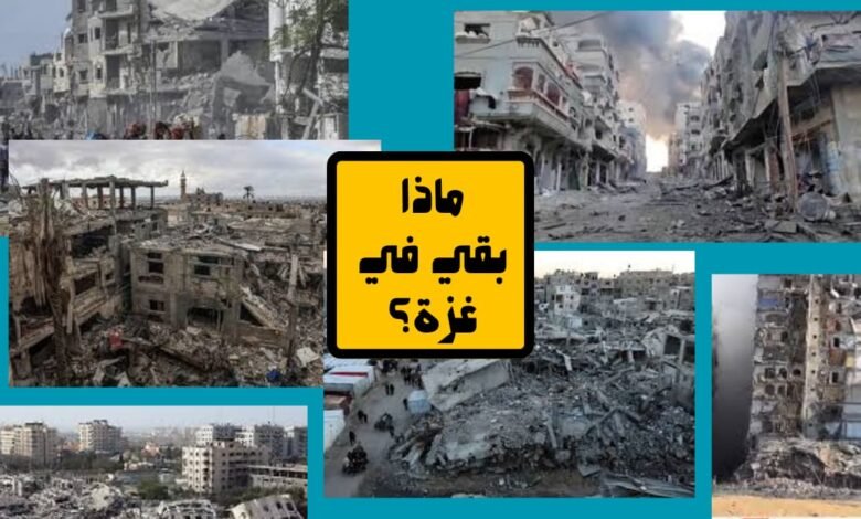 ماذا بقي في غزة؟ 11 ماذا بقي في غزة؟