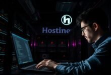 Hostinger Service Faces Major Outage Today